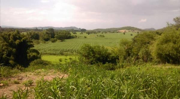 ขายที่ดิน อำเภอบ้านไร่ จังหวัดอุทัยธานี 8 ไร่ เป็นที่บนเนินเขา วิวเขาล้อม ติดถนนสาธารณะ น้ำประปา